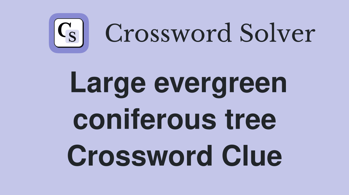 Large evergreen coniferous tree Crossword Clue Answers Crossword Solver